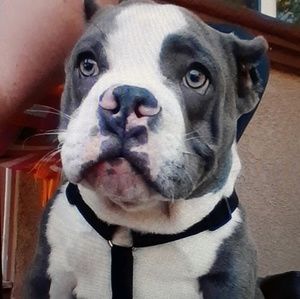 Meet your Posher, Kathleen